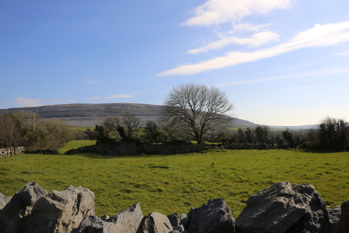 Ireland's natural beauty 